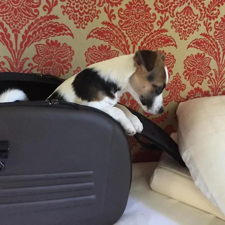 Affittacamere Der Borner Hof