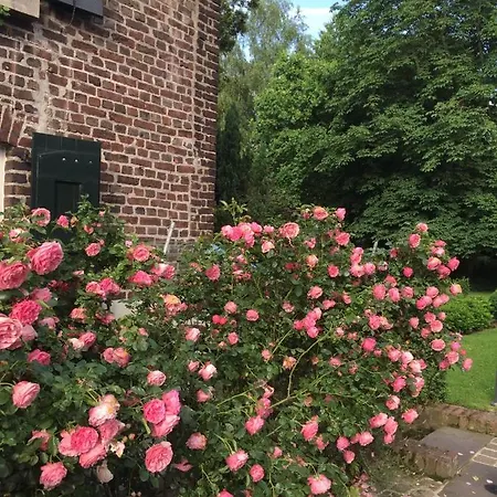 Der Borner Hof 4*
