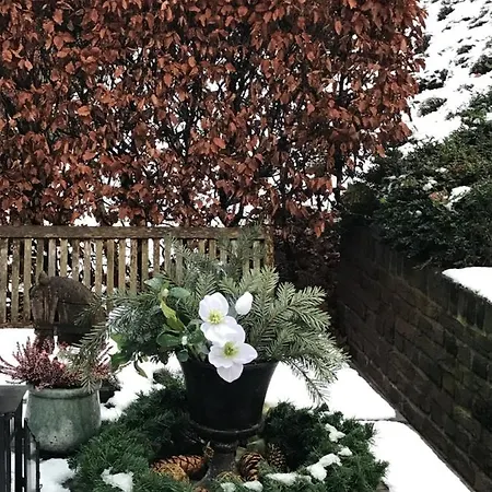 Affittacamere Der Borner Hof 4*