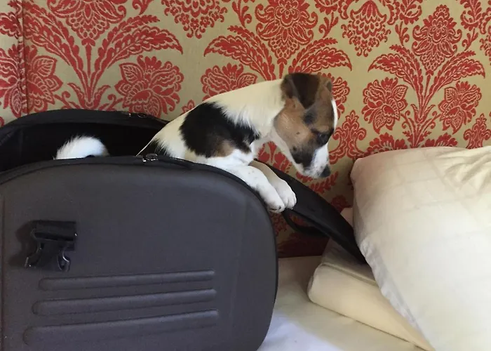 Penzion Der Borner Hof