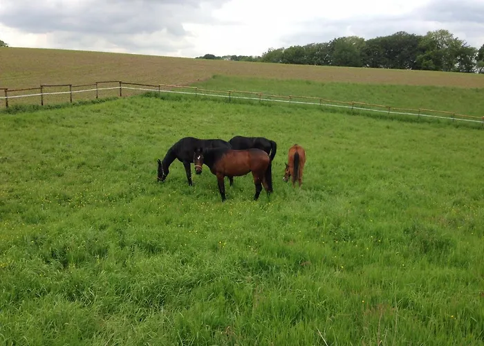 Gasthuis Der Borner Hof 4*