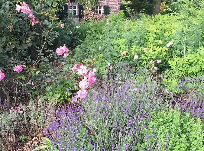 Der Borner Hof Gasthuis 4*