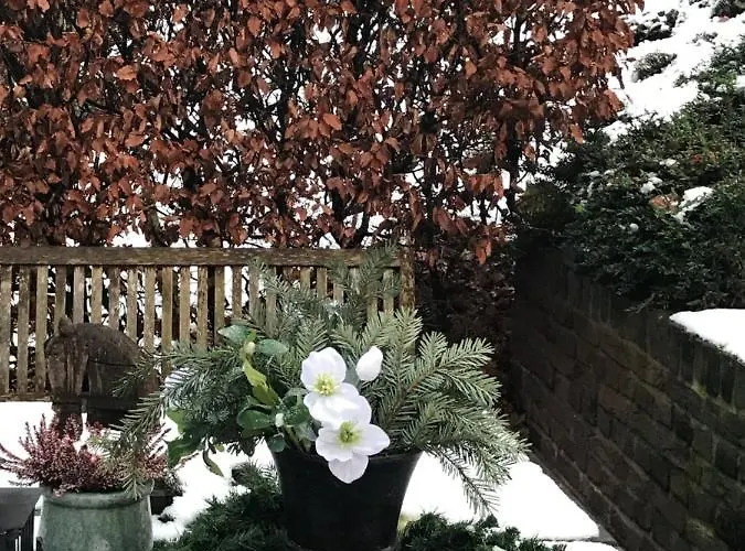 Gasthuis Der Borner Hof 4*